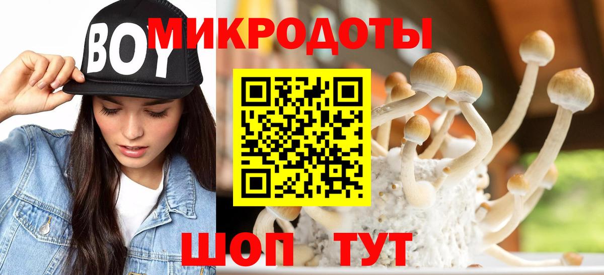 Нефтеюганск  Псилоцибиновые грибы мухоморы  Вход с VPN  Галлюциногенные грибы мухоморы 